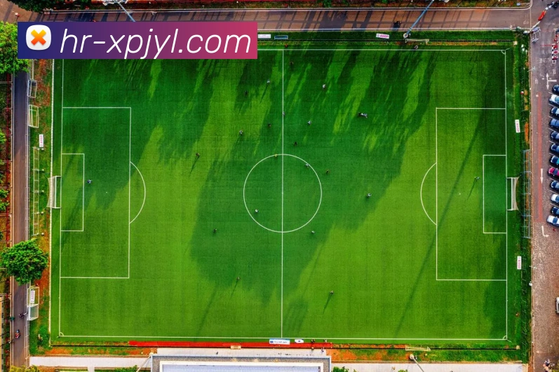 辅助工具 辅助工具